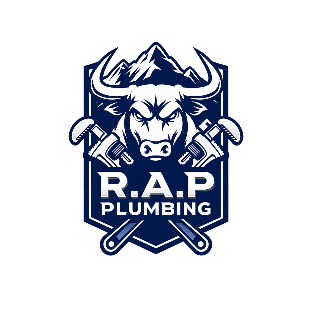 RAP Plumbing